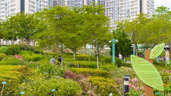 四季花园内种植了逾100种季节性植物，全年都会以迷人的花和叶吸引游人。